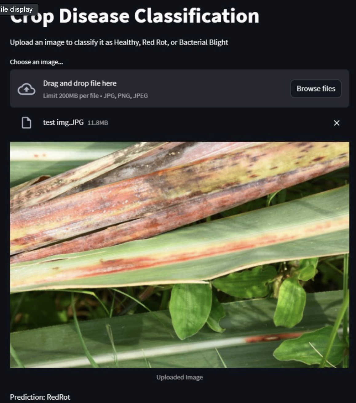 Crop Disease Detection System